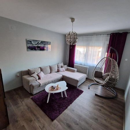 Grey & Sunny Apartments Zaječar Εξωτερικό φωτογραφία