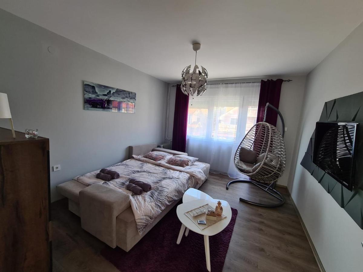 Grey & Sunny Apartments Zaječar Εξωτερικό φωτογραφία
