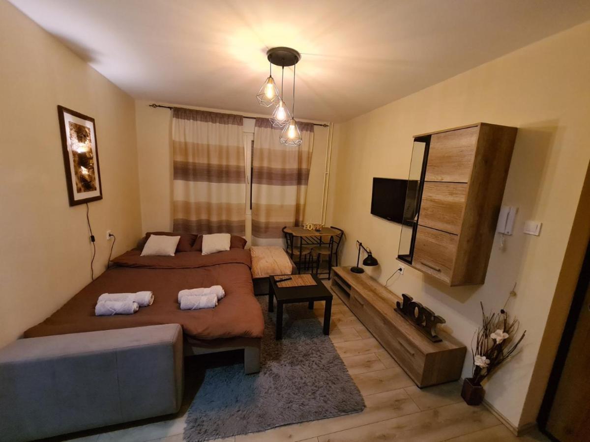 Grey & Sunny Apartments Zaječar Εξωτερικό φωτογραφία