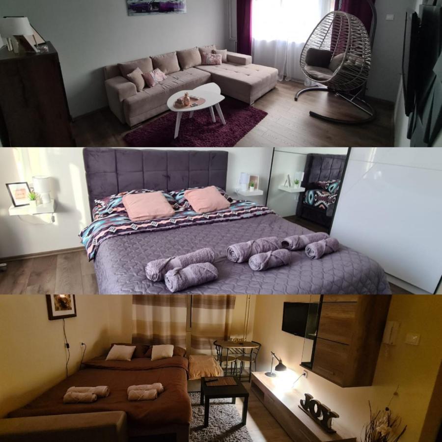 Grey & Sunny Apartments Zaječar Εξωτερικό φωτογραφία