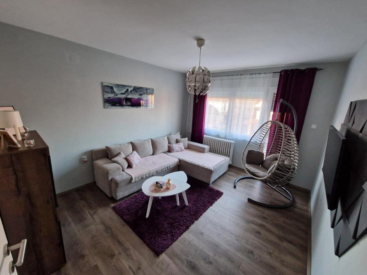 Grey & Sunny Apartments Zaječar Εξωτερικό φωτογραφία