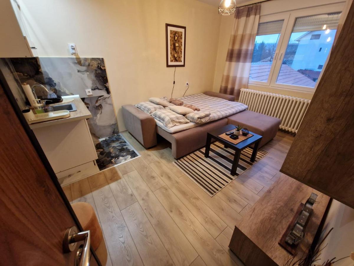 Grey & Sunny Apartments Zaječar Εξωτερικό φωτογραφία